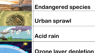Робочий аркуш з лексики на тему "Environment"