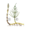 0800fufy-768b-117x111.png