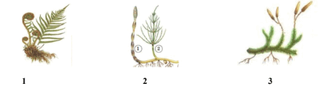 0800fug6-6125-472x123.png