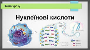 Конспект уроку