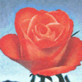 0800g02h-b730-116x116.png