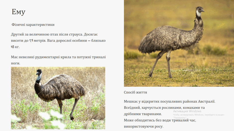 0800g0q5-cb35-940x529.png