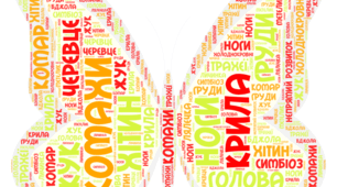 Робочі аркуші