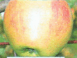 0800g1de-b988-111x84.png