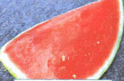 0800g1dk-b4f3-124x81.png