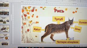Що ми знаємо про диких тварин?