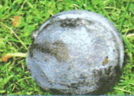 0800g36b-9685-191x137.png