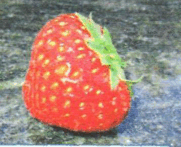 0800g36u-8368-181x147.png
