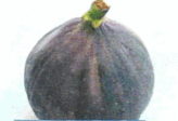 0800g378-e194-164x112.png