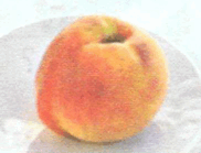 0800g37e-04b3-182x139.png
