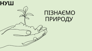 Звідки наш організм бере енергію та будівельний матеріал. Травна система