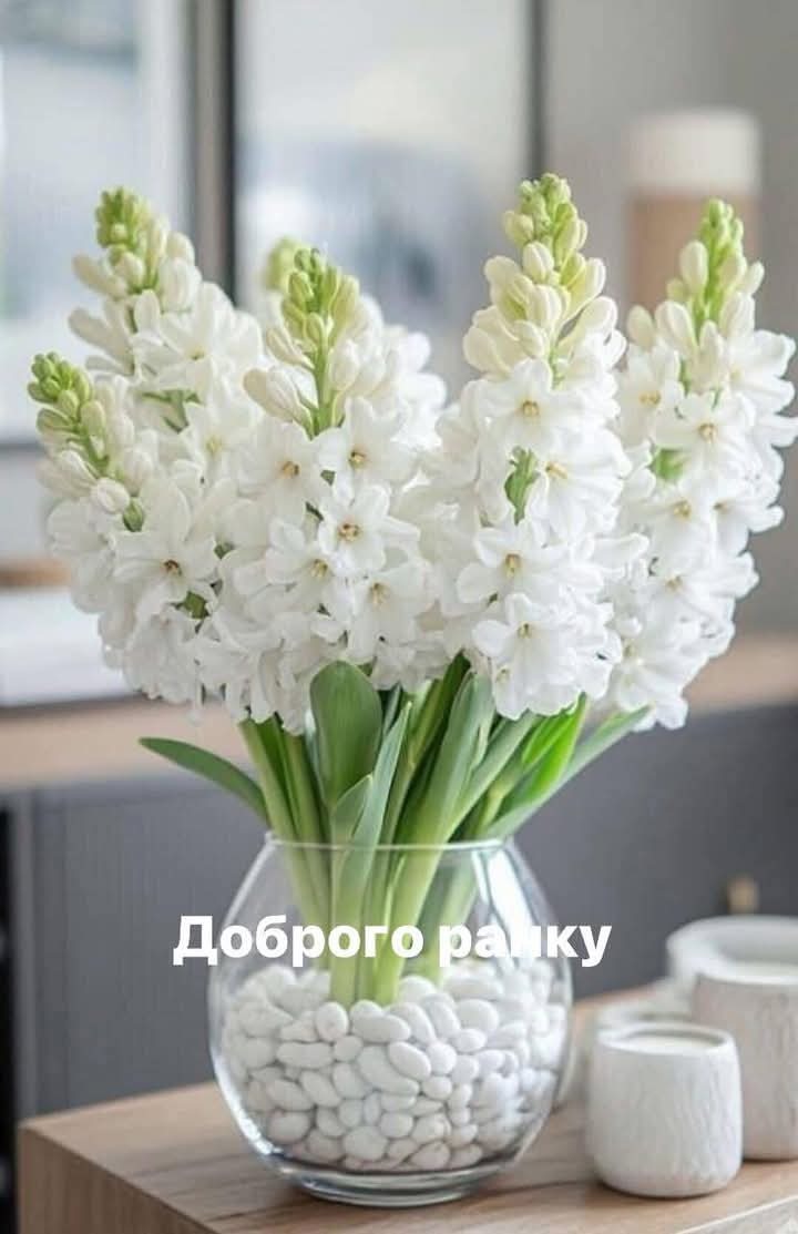0800g6k2-af26-720x1113.jpg