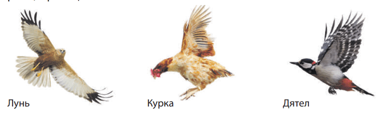 0800g81a-a6ab-765x226.png