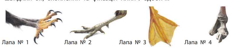 0800g81u-1cfa-797x164.png