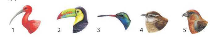 0800g837-67ef-686x130.png