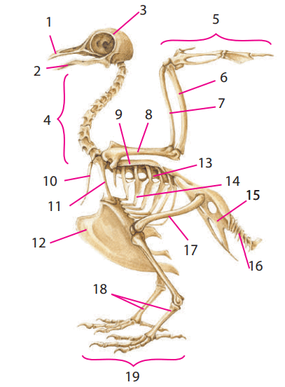 0800g84b-b0ad-407x552.png