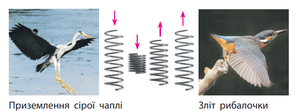 0800g8ai-3cfc-617x228.png