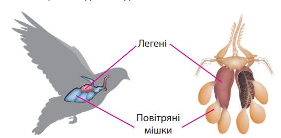 0800g8d3-1bc2-565x278.png