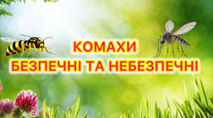 Дидактична гра «Комахи безпечні та небезпечні»
