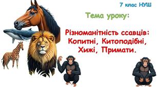 Презентація з біології "Різноманітність ссавців:  Копитні, Китоподібні, Хижі, Примати. " 7 клас НУШ