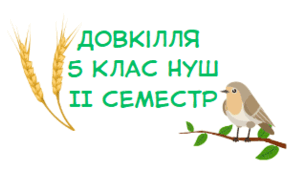 Підсумкова контрольна робота Довкілля НУШ 5 клас за групами діяльності ІІ семестр