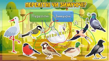 0800g9r4-cdab-367x206.jpg