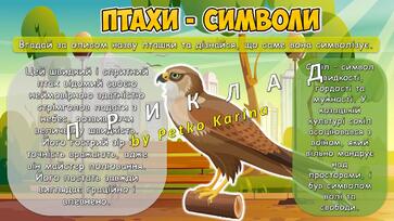 0800g9rl-cce5-363x204.jpg