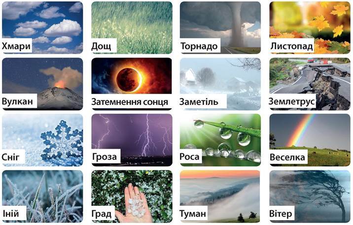 https://uahistory.co/pidruchniki/textbook-special-needs-educational-f70-natural-science-6-class-2020-lubarets/textbook-special-needs-educational-f70-natural-science-6-class-2020-lubarets.files/image009.jpg