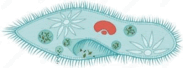 0800gbdt-5007-183x68.png