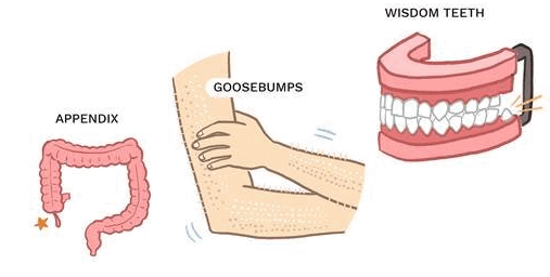 0800gbnc-5183-507x256.png