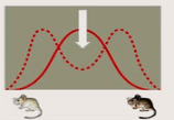 0800gc46-9c1d-158x109.png