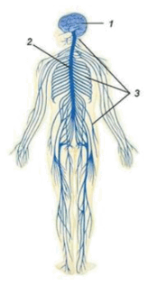 0800gcsn-044d-164x316.png
