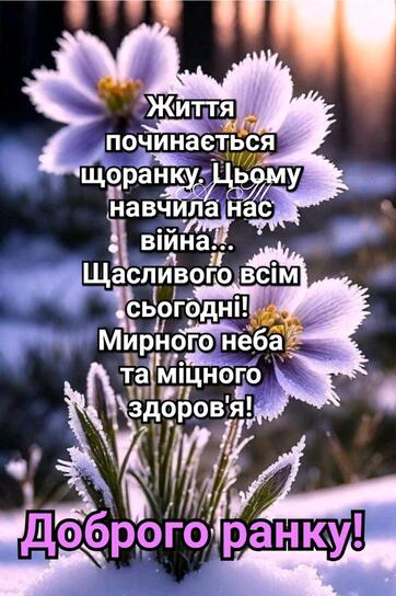 0800gdms-0404-362x544.jpg