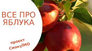 Здорове харчування. Все про яблука