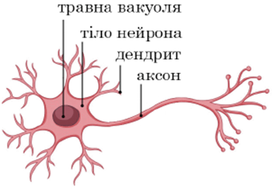 0800gmez-1d61-396x276.png
