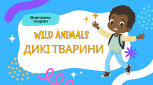 3. WILD ANIMALS ДИКІ ТВАРИНИ