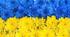 Підготовка до НМТ.  Пароніми