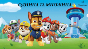 Однина та множина іменників