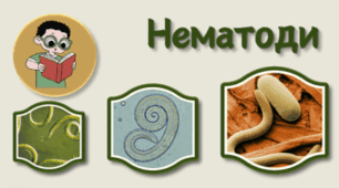 Нематоди
