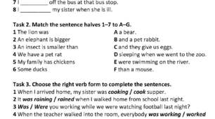 Test 8. Prepare 6. Mysteries in nature. Amazing animals.