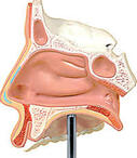 0800gy26-05da-127x146.jpg