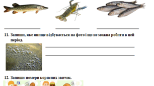 Діагностувальна робота Природа навесні. 1 частина. Гільберг
