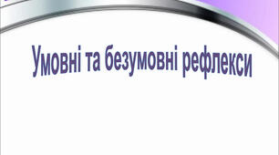 Робочий аркуш з теми "Безумовні та умовні рефлекси"