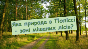 Презентація "Яка природа в Поліссі - зоні мішаних лісів?" 4 клас