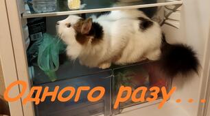 Одного разу...