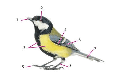0800hbqq-74d7-397x256.png