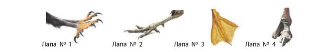 0800hd4a-e661-641x106.png