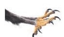 0800hda0-254a-132x77.png