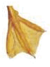 0800hda4-c20d-71x95.png