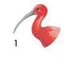 0800hddf-ac92-99x82.png